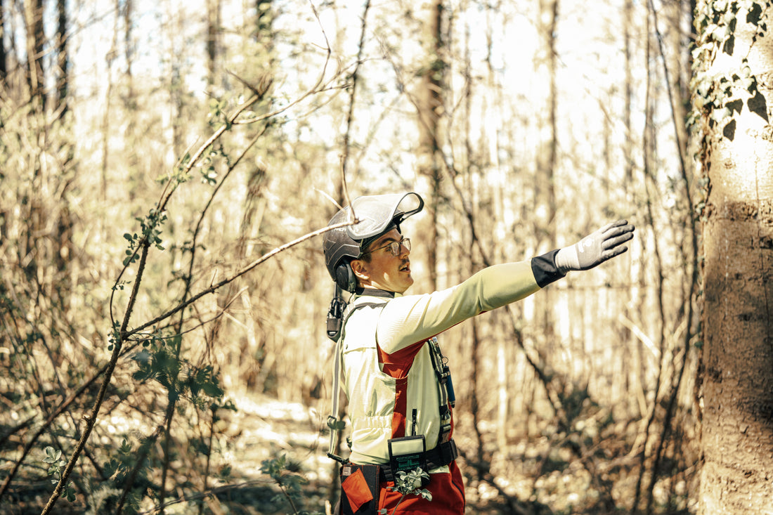 Effizientes Arbeiten mit einem Fällkeil: Tipps und Tricks